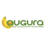 Logo_AUGURA